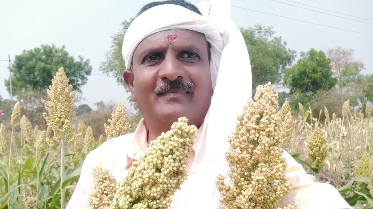 Biradhar Veer Shetty in his sorghum farm