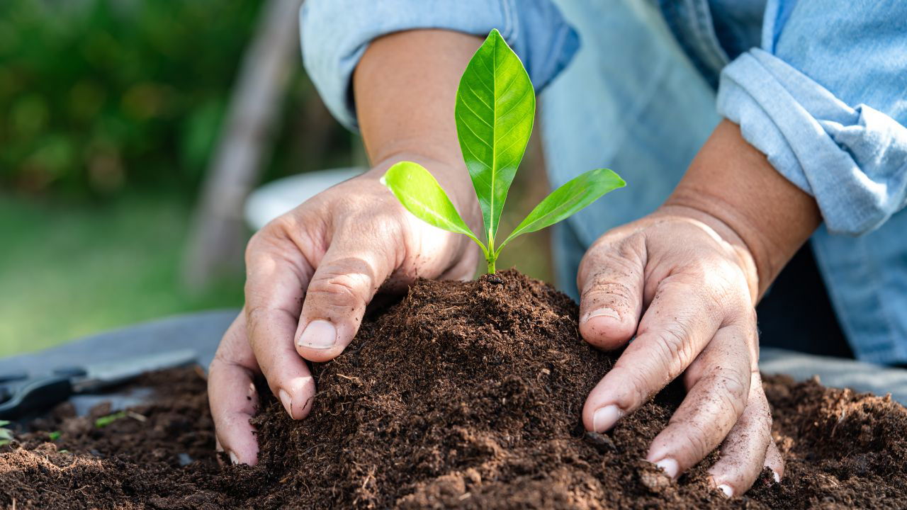 Soil organic matter (SOM) is made up of a variety of components, including microorganisms, earthworms, mucus, plant exudates, plant roots, and fecal matter.