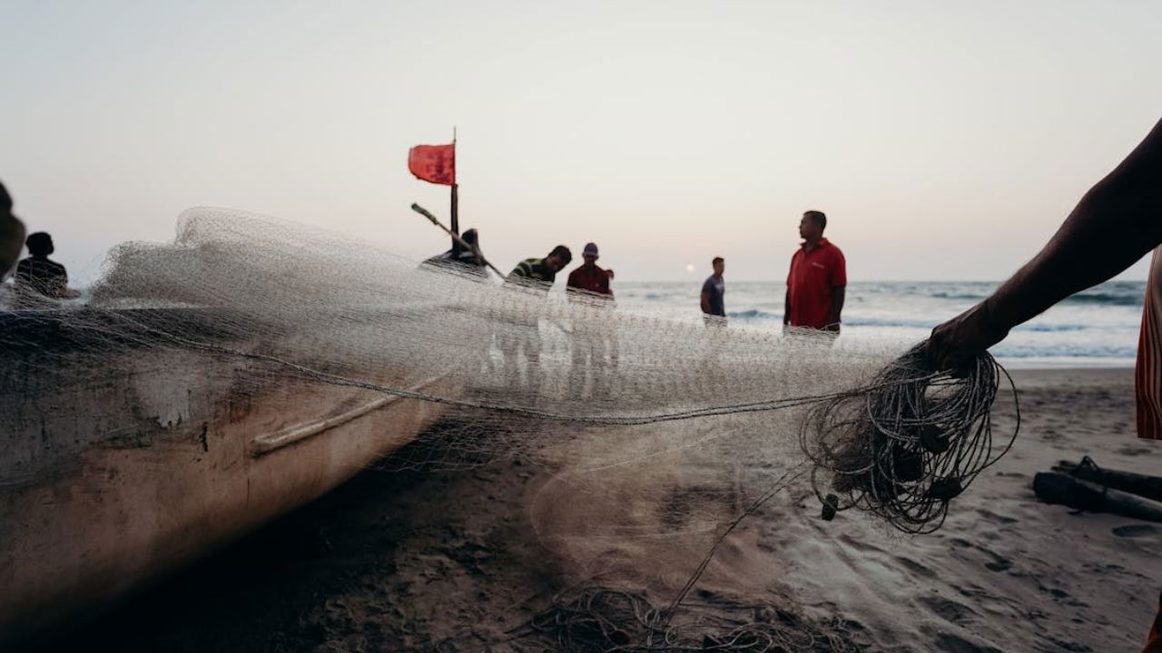 Fishermen in six Kerala coastal districts now receive vital updates on safety, hygiene, and livelihoods. (Photo Source: Pexels)