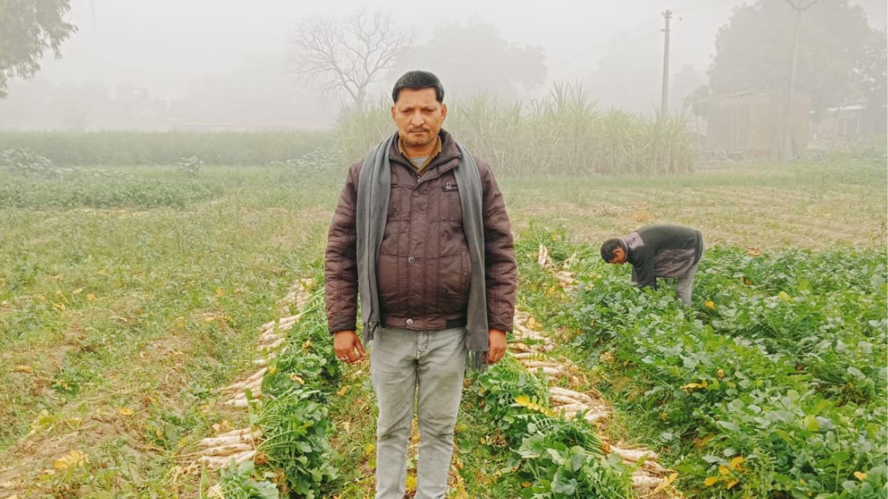 Nirmal Kushwaha is earning well by cultivating the high-yielding Cross X-35 radish, which has proven to be a profitable crop for his farm (Pic Credit-Nirmal Kushwaha)