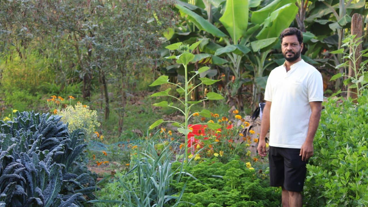 CV Narasimha Raju leads Telangana's fruit storage, processing 5,000 tons of mangoes and bananas annually with his unique ripening chamber. (Pic Credit: C.V Narasimha Raju)