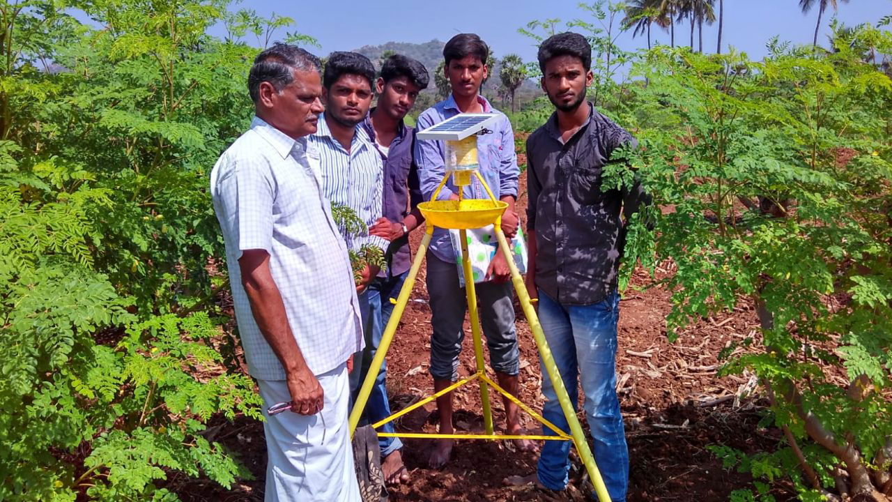 Samikannu's drumstick crop yields 16 tonnes per acre, inspiring fellow farmers to adopt innovative farming technologies. (Pic credit: V. Samikannu)