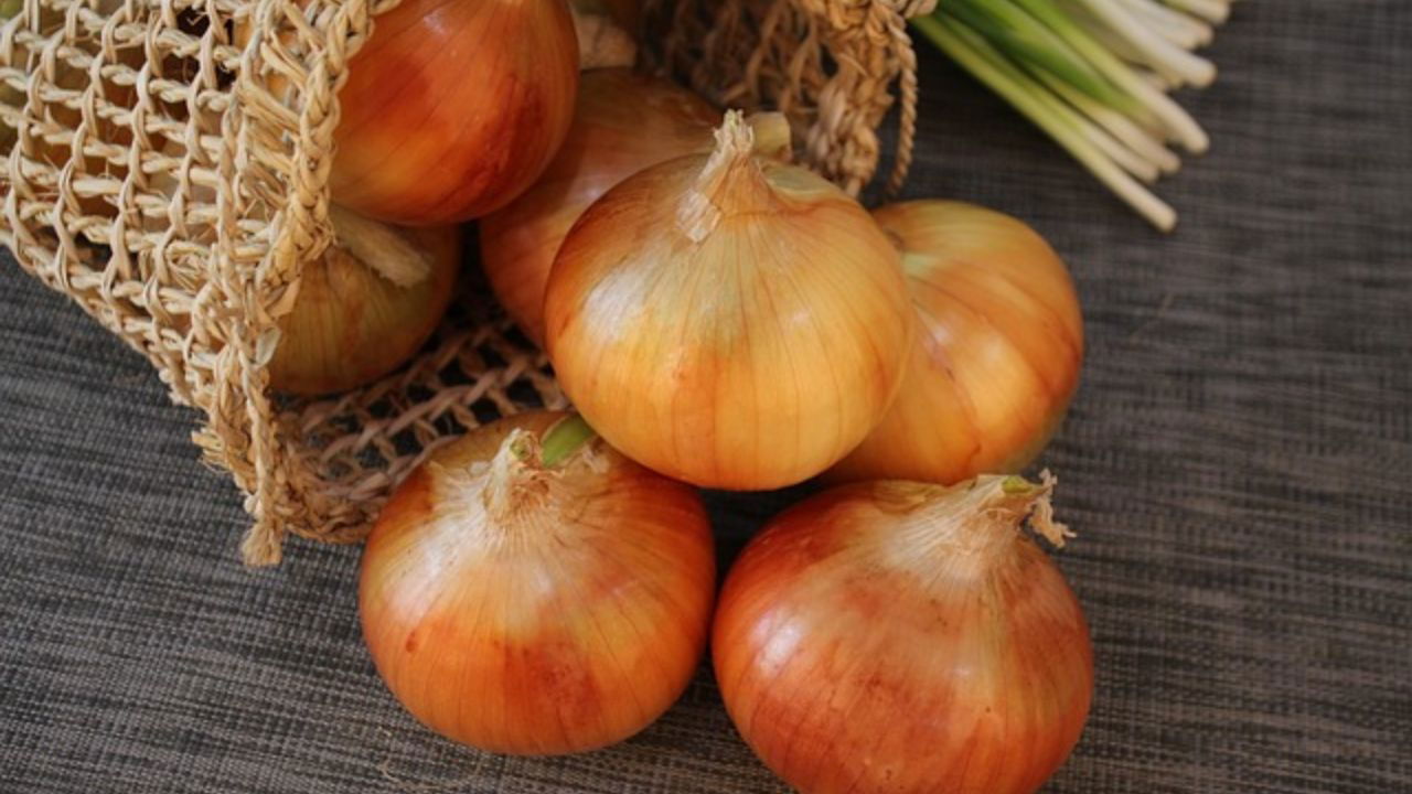 All India Network Research Project on Onion and Garlic includes some new varieties from 2024 which marks a significant development in onion cultivation.