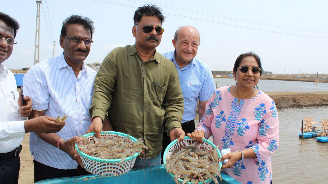 Today, Dr. Manoj M. Sharma leads the shrimp farming industry with an annual income of 75 to 100 crores, proving the power of perseverance and innovation. (Pic credit: Dr. Manoj).