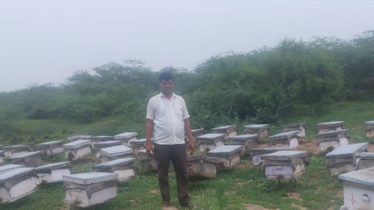 Lokesh now has 500 honeybee colonies, producing 30 kg of honey per colony annually, providing him with a steady and substantial income (Pic Credit: Lokesh Meena).