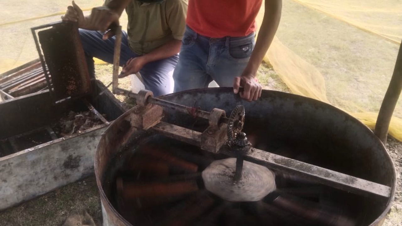 Young farmer Lokesh's dedication to farming and apiculture earns him up to Rs 8 lakhs annually, bringing financial stability and inspiring his community. (Pic Credit: Lokesh Meena).