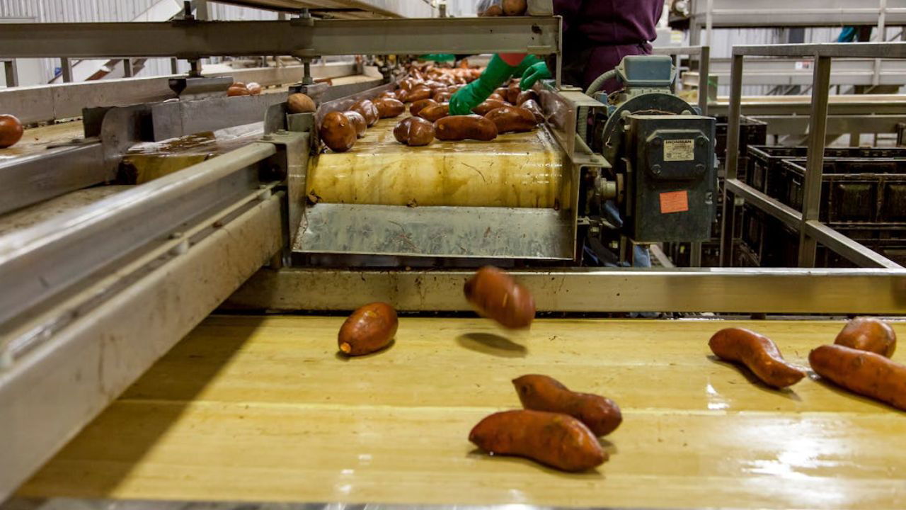 An online pre-bid meeting for interested applicants to set up food processing units under PMKSY is scheduled for 6th February 2025 at 11:00 AM in Panchsheel Bhawan, New Delhi. (Photo Source: Pexels)