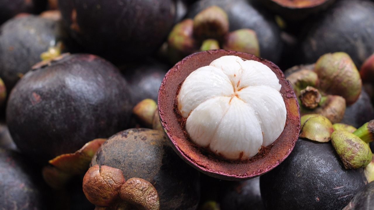 Mangosteen is often referred as Queen of Fruits and the current market value of Mangosteen is Rs. 600/kg. (Representational image Source: Pixabay)