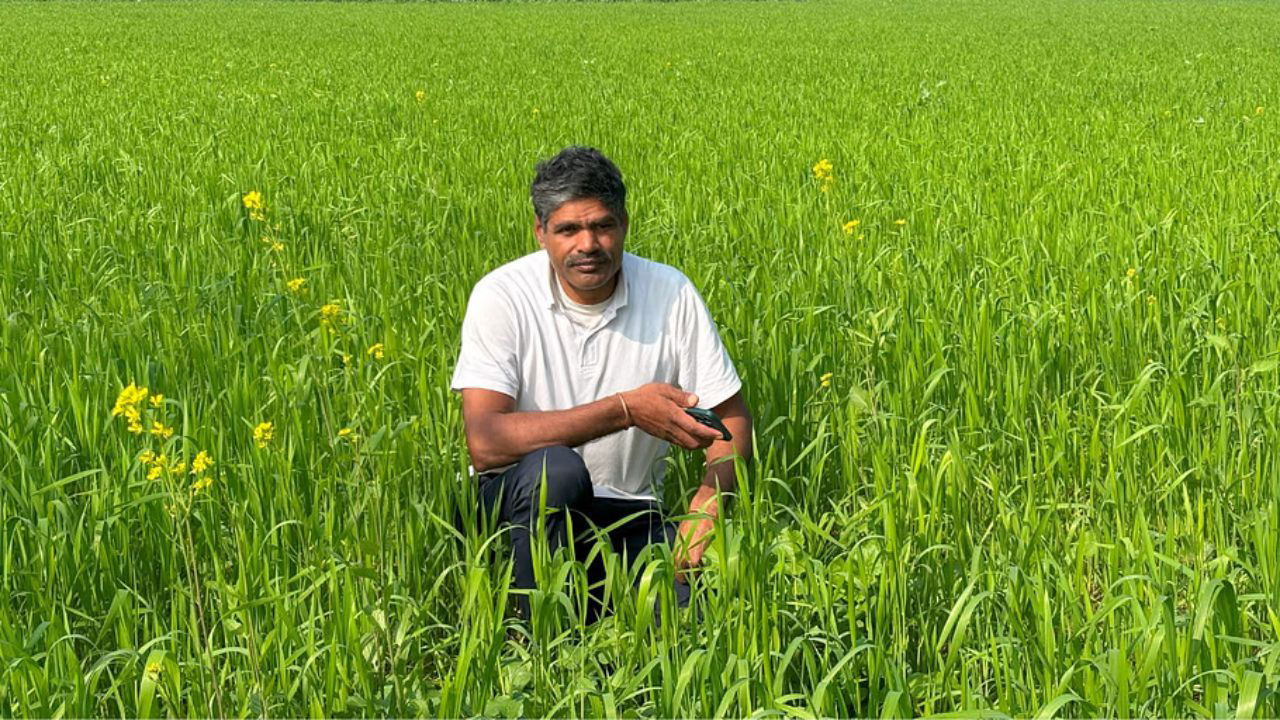 Anil Kumar turned to natural farming in 2015, transforming his crops and livelihood by embracing eco-friendly practices that prioritize sustainability and health. (Pic credit: Anil Kumar).