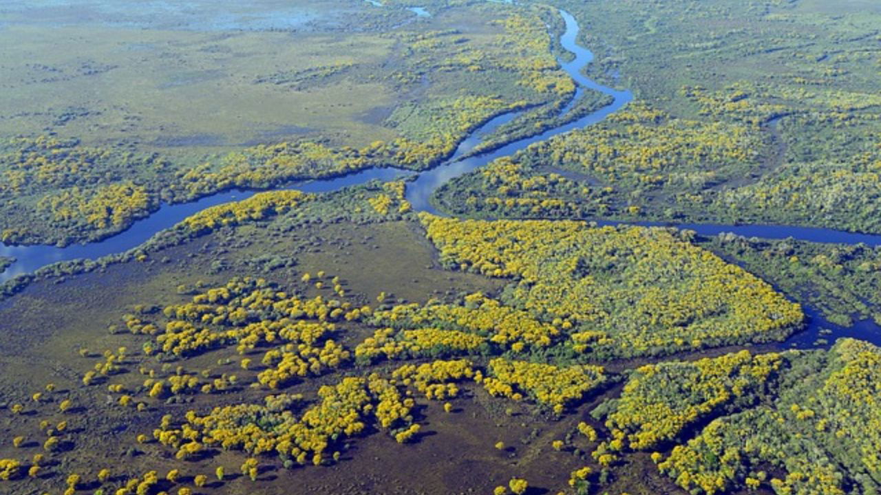 The theme for World Wetlands Day 2025, is "Protecting Wetlands for Our Common Future," (Representational Image: Pexel).