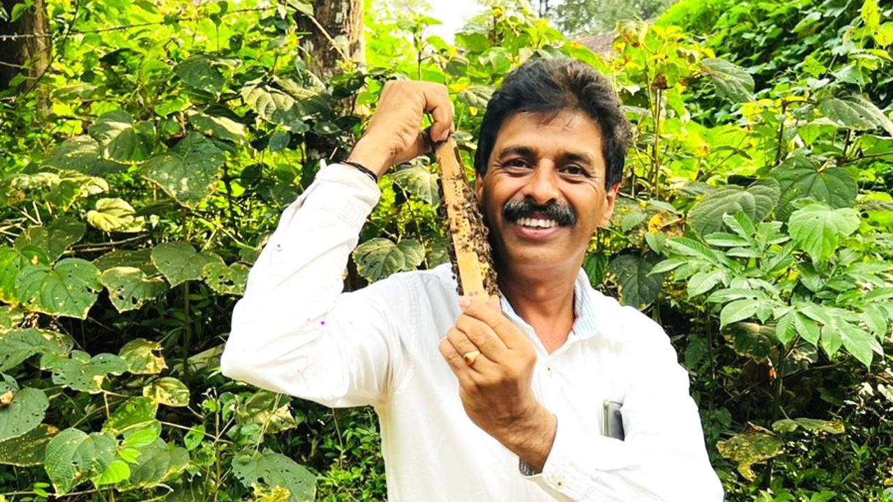 Dr. Madhukeshwara overseeing his thriving beekeeping operation, managing over 1,000 hives across 40 acres in his village and surrounding areas. (Image Credit: Dr. Madhukeshwara Janaka Hegde)