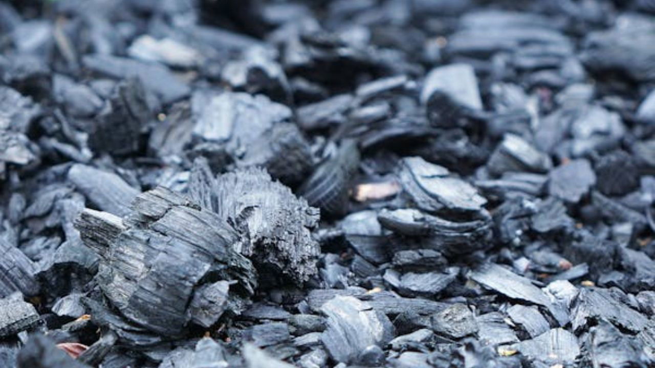 Biochar has an alkalizing effect, Its application reduces soil acidity (Representational Image source: Pexel)