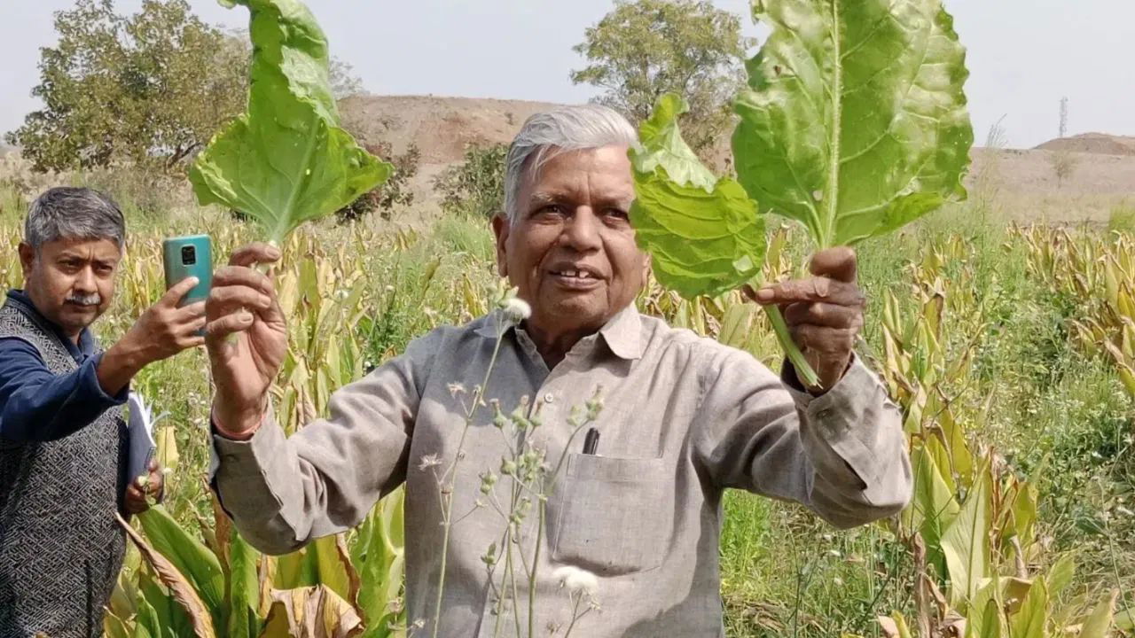 Subhash Khetulal Sharma, 73, turns his 16-acre farm into a sustainable farming model, proving that harmony with nature leads to success. (Pic Credit: Natural Farming By Subhash Sharma)