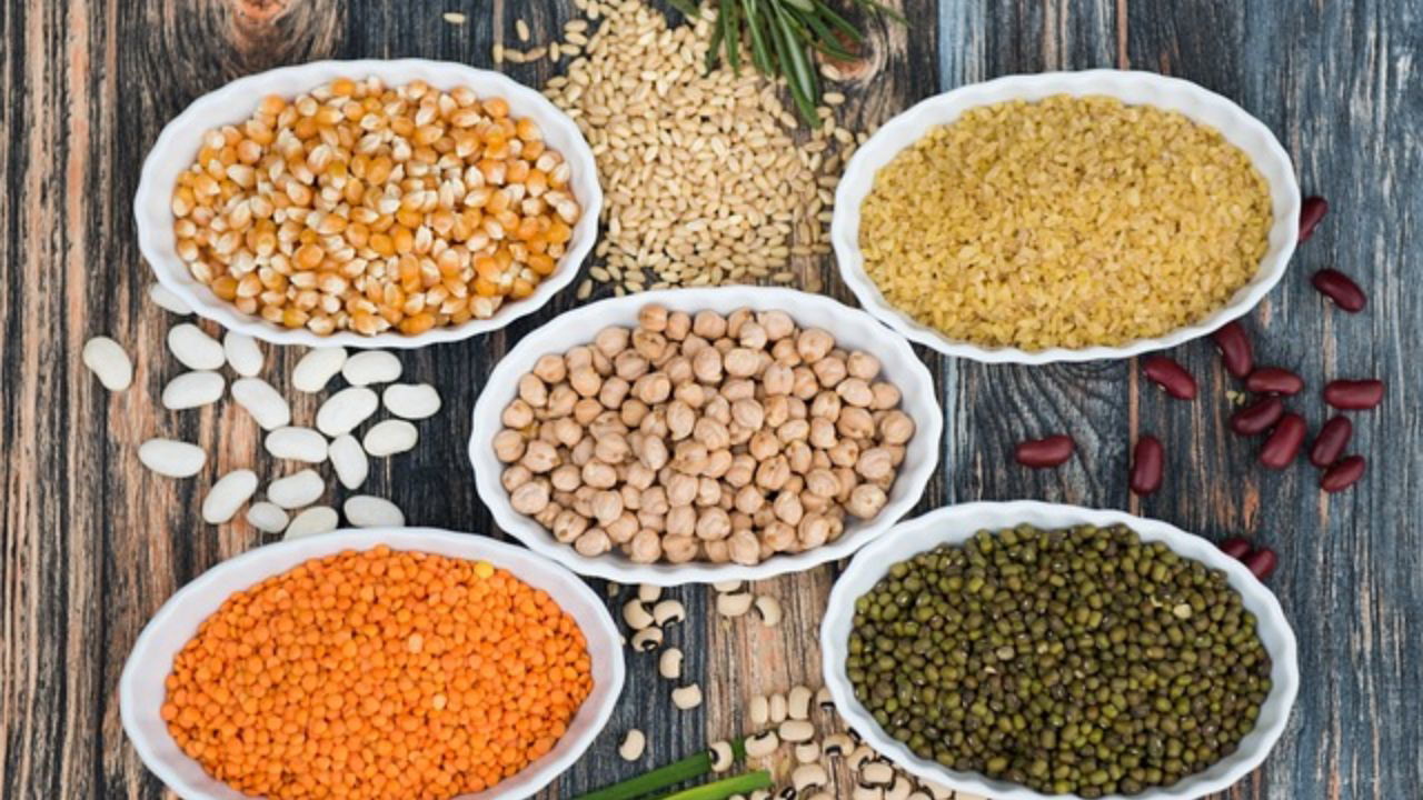 Pulses were traditionally grown in rain-fed situations with less irrigation in India and are usually grown in two seasons: kharif (June-October) and rabi (October-April).(Representation Image source: Pixabay).