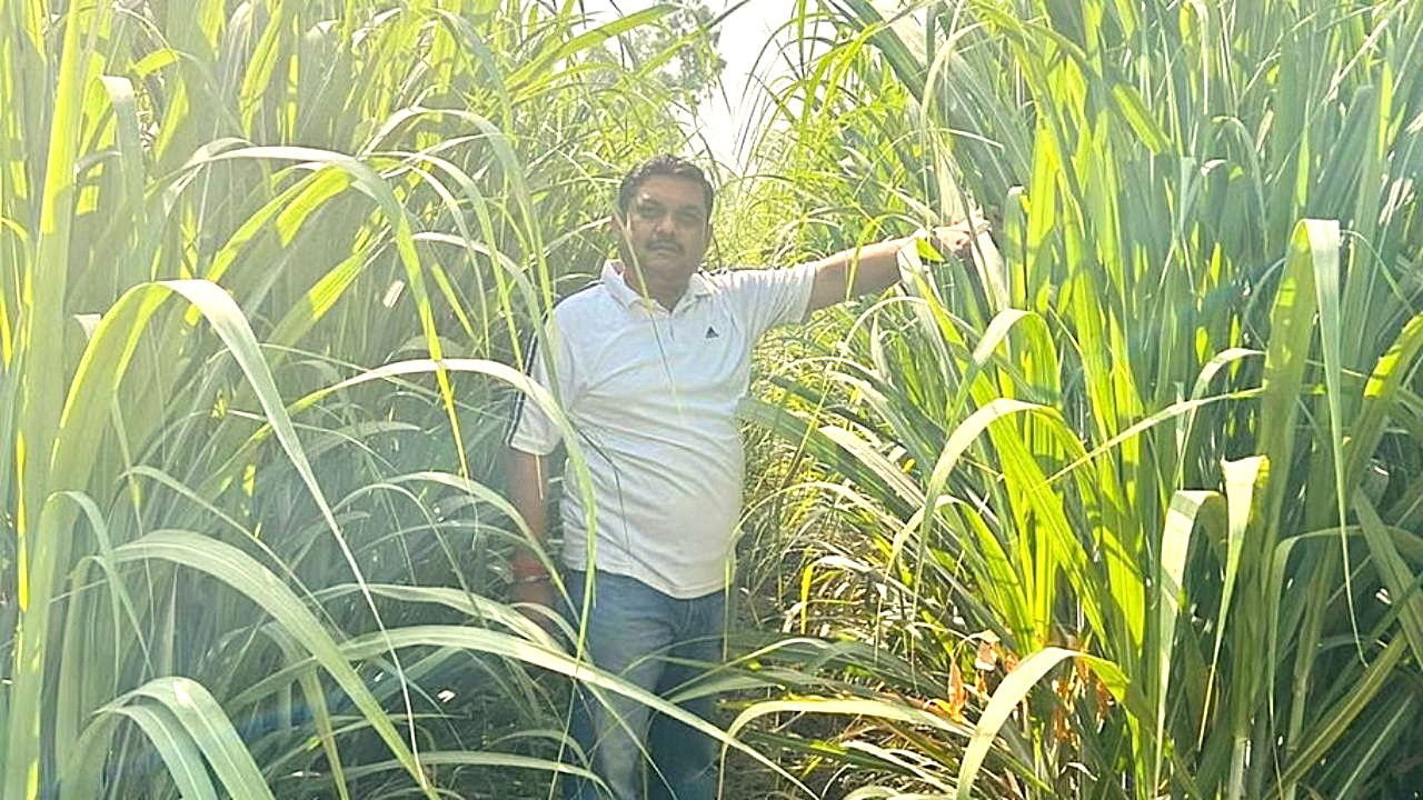 Himanshu Nath Singh’s innovative sugarcane farming on 10 acres yields 2470 quintals per acre, generating a Rs 1 crore+ annual turnover with high profitability and sustainability. (Pic Credit Himanshu)