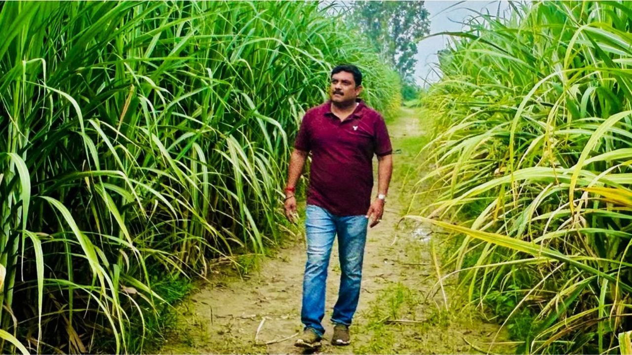 Himanshu Nath Singh, a progressive farmer from Sitapur, Uttar Pradesh, is transforming sugarcane farming with modern techniques, organic fertilizers, and mechanization. (Pic Credit: Himanshu Nath Singh)