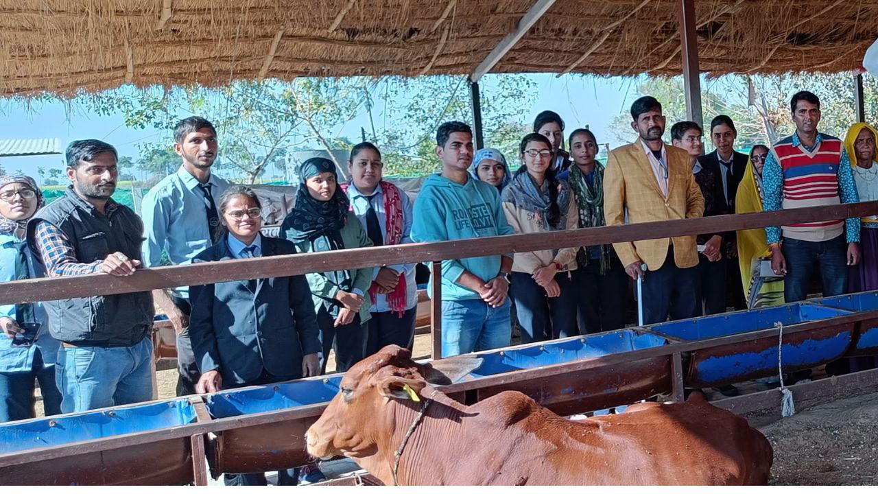 Dairy farming can also complement agriculture to increase overall income. Farmers can reduce investment while maximizing profits by adopting simple and cost-effective methods (Pic Credit: Lekh Ram Yadav)