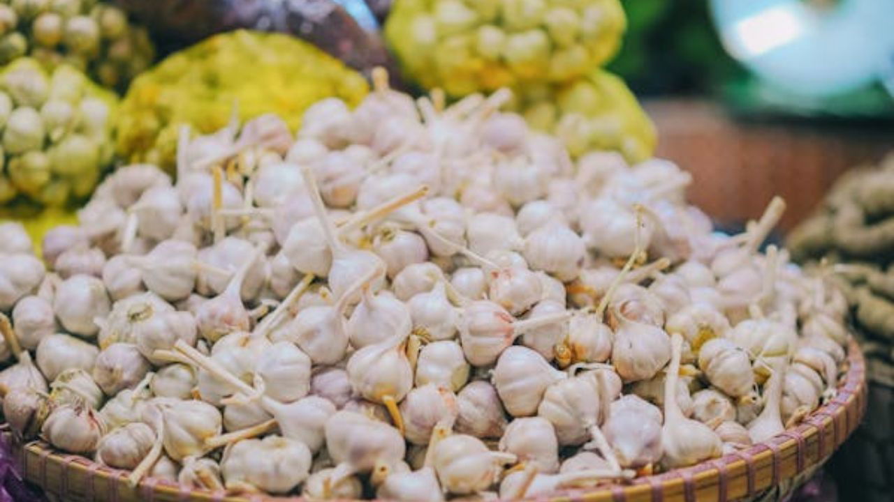 Yamuna Purple-10 is a high-yielding variety, It is developed through clonal selection and It has excellent tolerance to common garlic diseases like purple blotch and Stemphylium blight (Representational Image source: Pixabay)