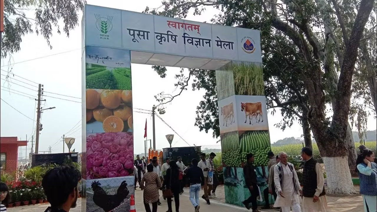 The fair will showcase agricultural schemes, crop diversification, digital farming, marketing, farmer innovations and More (Representational Image)