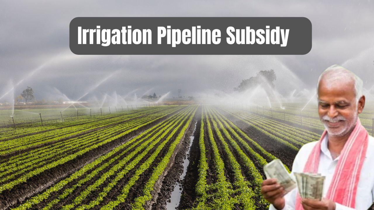 The scheme offers financial assistance to farmers for the procurement and installation of irrigation pipelines (Photo Source: Canva)