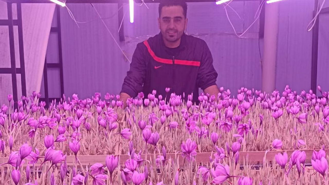 Gaurav Sabharwal is a determined young entrepreneur from Solan, Himachal Pradesh has made a remarkable Impact in the saffron farming (Pic credit: Gaurav Sabharwal)