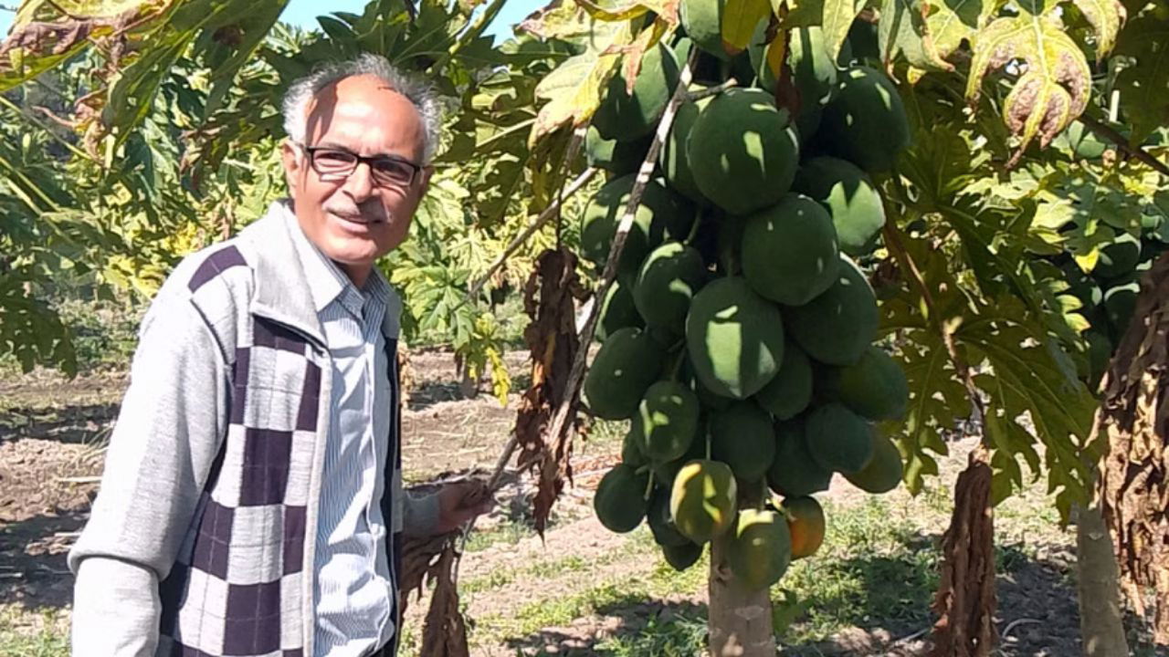 Vinod Dashora believed that modern organic farming techniques could breathe new life into this traditional way of life (Pic Credit: Vinod Dashora)