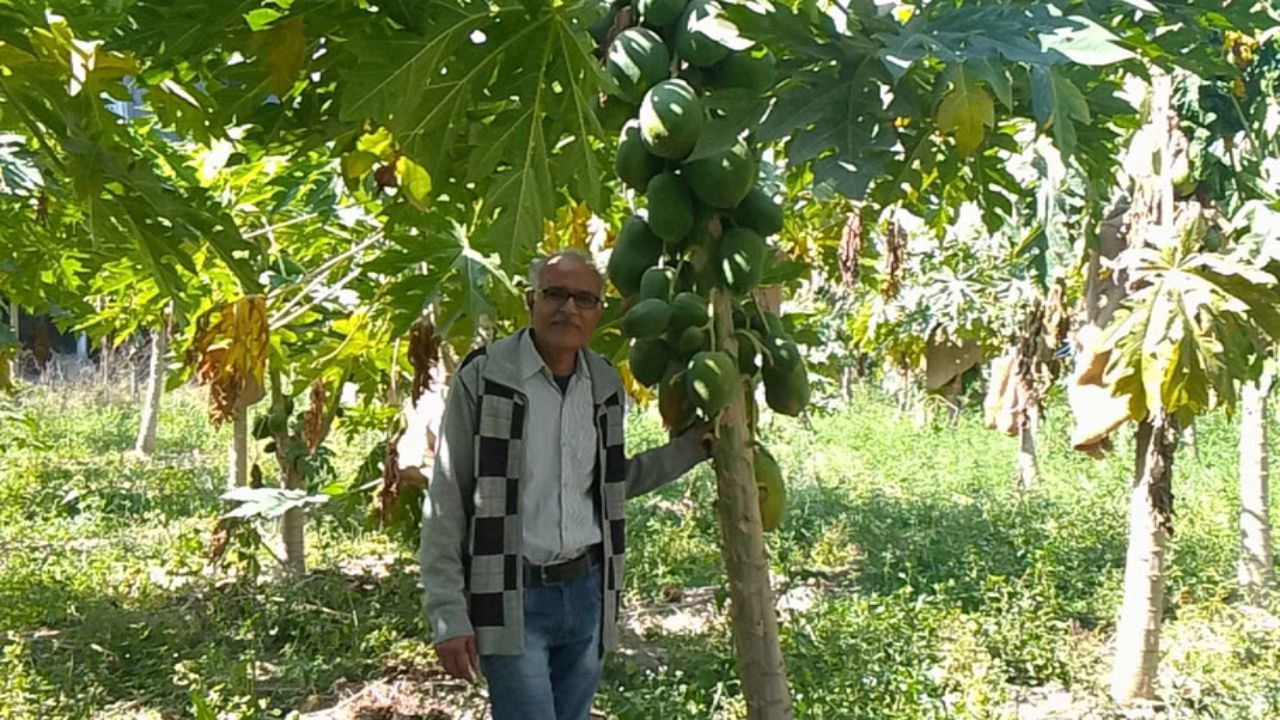 Vinod was determined to follow his passion, With conviction and hope, he embarked on his journey to turn his farming dream into reality (Pic Credit: Vinod Dashora).