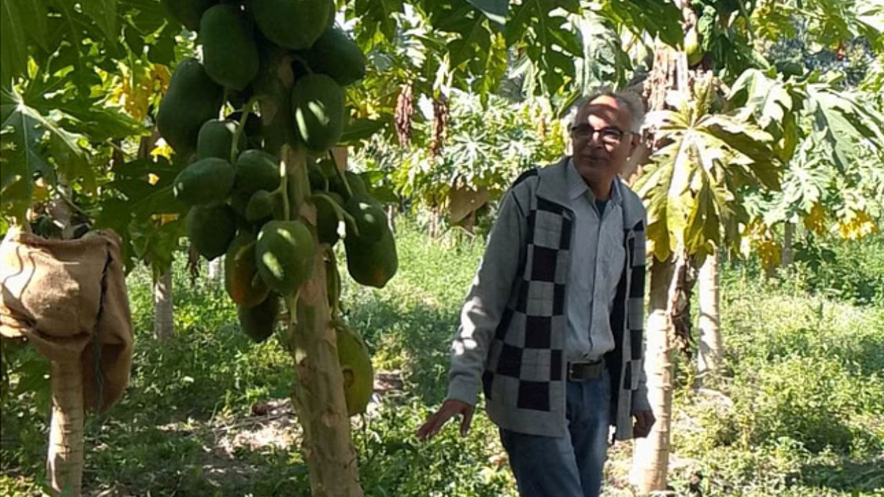 Vinod Dashora's transformation from a diploma holder in electronics to an organic farmer demonstrates the vast scope of eco-friendly farming (Pic Credit: Vinod Dashora).