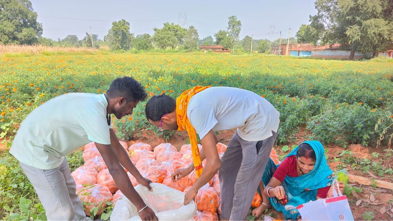 During peak festival seasons, Moti Lal sells directly to retailers for maximum profits, with the Laddu variety of marigold being his top money earner (Pic Credit: Moti Lal Banjara)