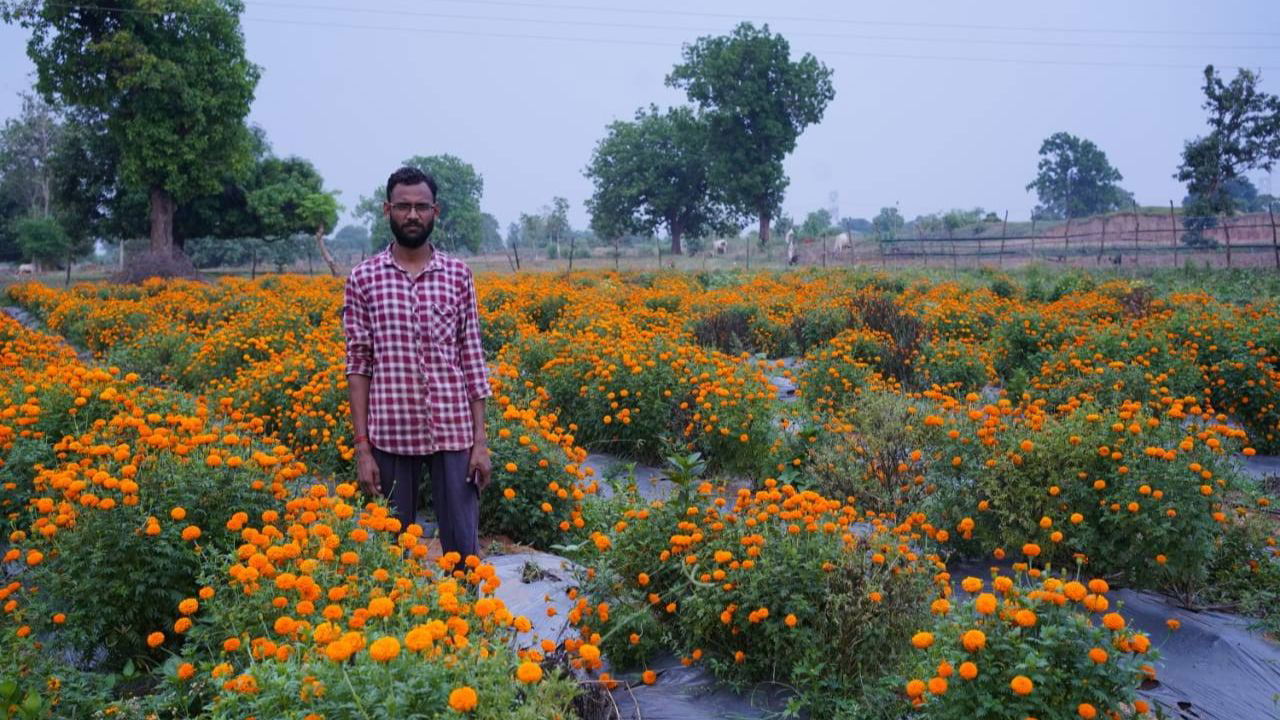 Moti Lal Banjara from Pathalgaon, Jashpur, turned traditional farming into a profitable business with marigold cultivation and modern agricultural practices. (Pic Credit: Moti Lal Banjara)