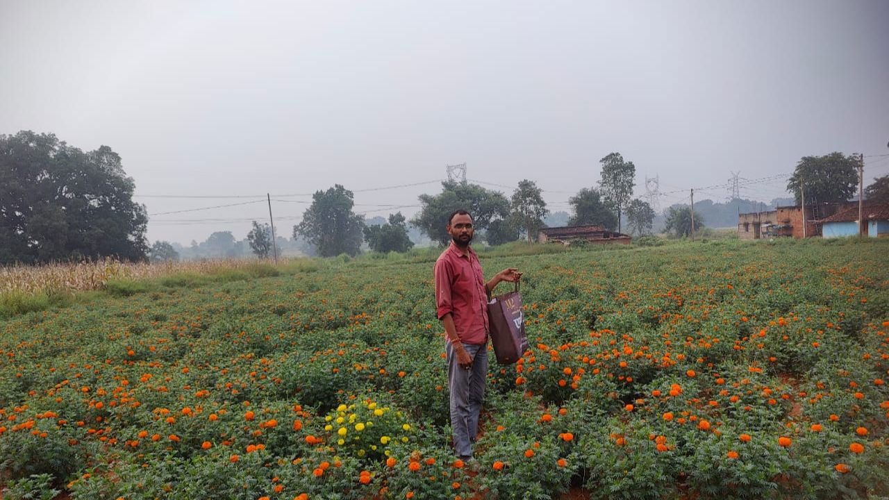 Farmer Moti Lal grows chemical-free flowers using organic pesticides, ensuring safe and fresh blooms year-round. (Pic Credit: Moti Lal Banjara)