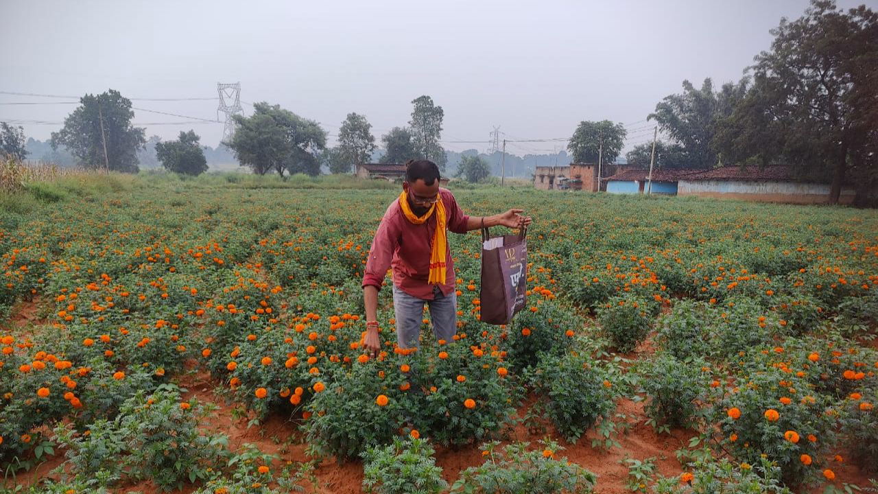 He plans to expand his floriculture business by cultivating more land and exploring new flower varieties. (Pic Credit: Moti Lal Banjara)