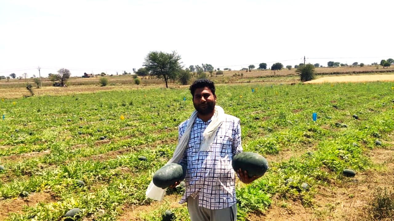 Ravi Rawat, a progressive farmer from Shivpuri, turned his 25-acre land into a thriving farm by moving beyond traditional crops and embracing modern techniques. (Pic Credit: Ravi Rawat)