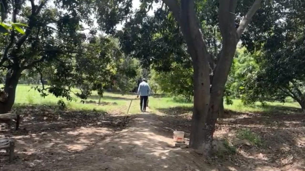 Avnish grows both traditional and premium mangoes, selling them from Rs 20 to 100 per kg, keeping his family’s legacy alive. (Pic Credit: Avnish).