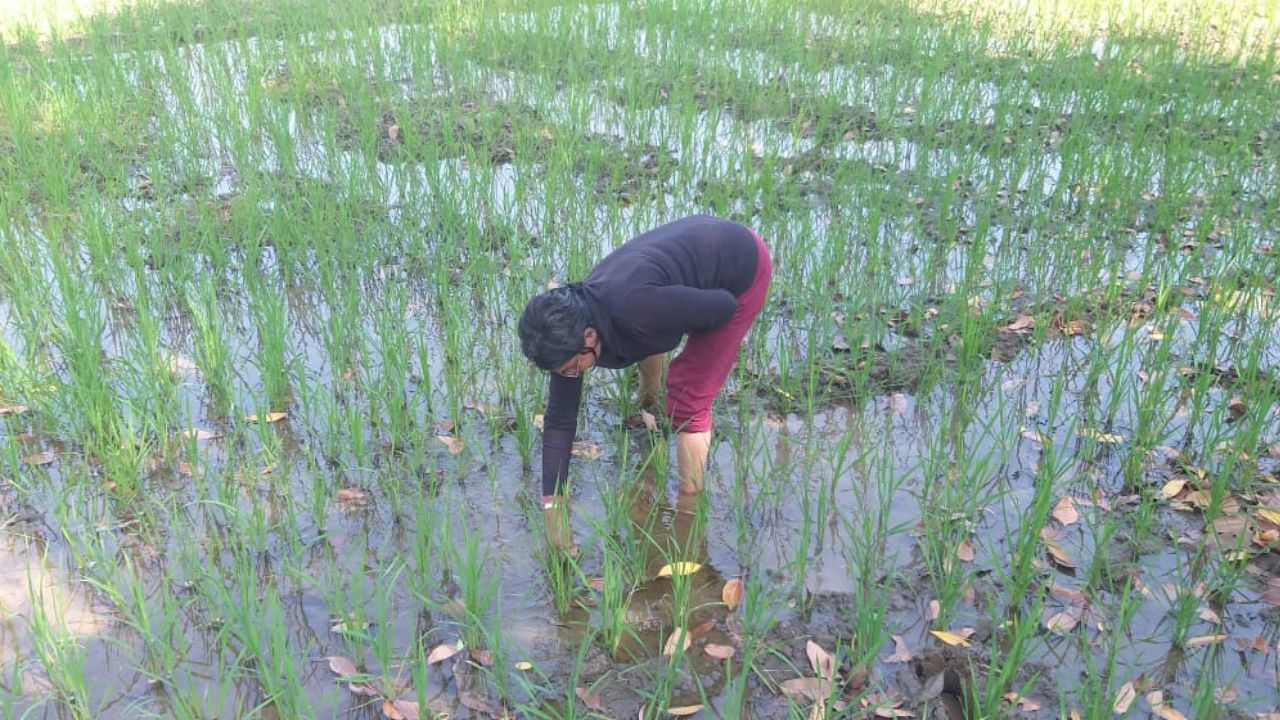 Sunita sees farming as a sacred practice, nurturing the land with natural methods for a sustainable future. (Pic Credit: Sunita)