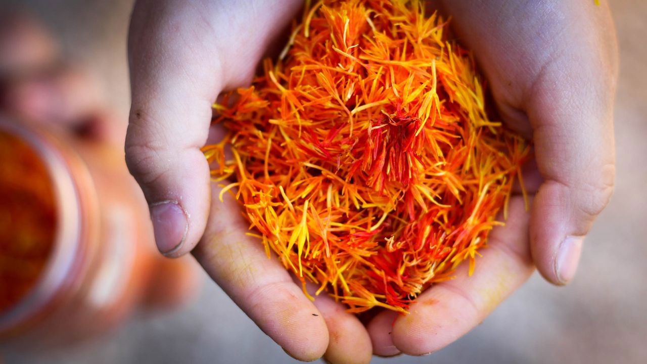 Saffron is believed to have originated from the Mediterranean region, Asia Minor and Iran as saffron has been cultivated for centuries in Iran and Kashmir (Pic Credit: Pixabay).