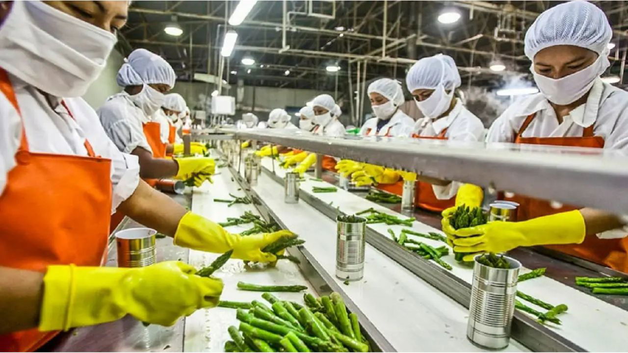 India's food processing sector has a lot of potential for growth, and is expected to be a major driver of the country's economy. (Representational Image Source: Pexels)