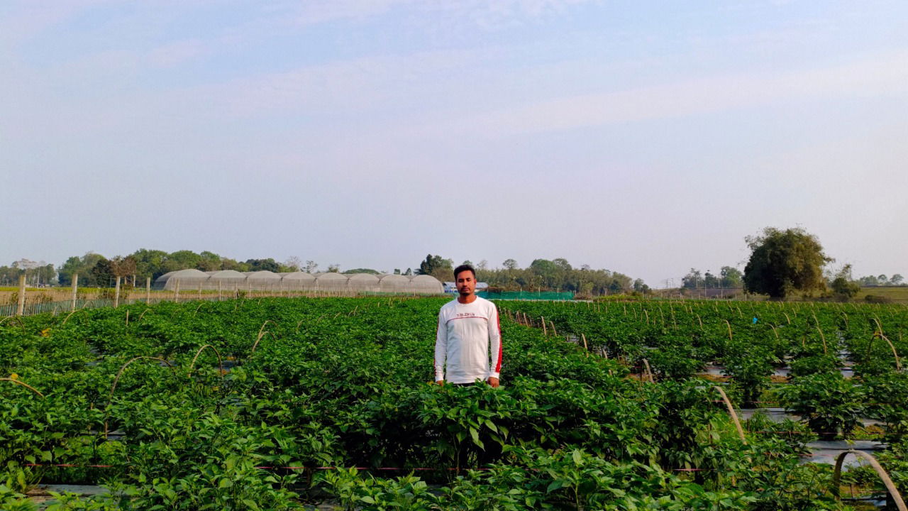 Lachit from Dhemaji left job offers behind to follow his passion for King Chilli farming and built a thriving organic farm on 8 bighas of land (Pic Credit: Lachit Gogoi).