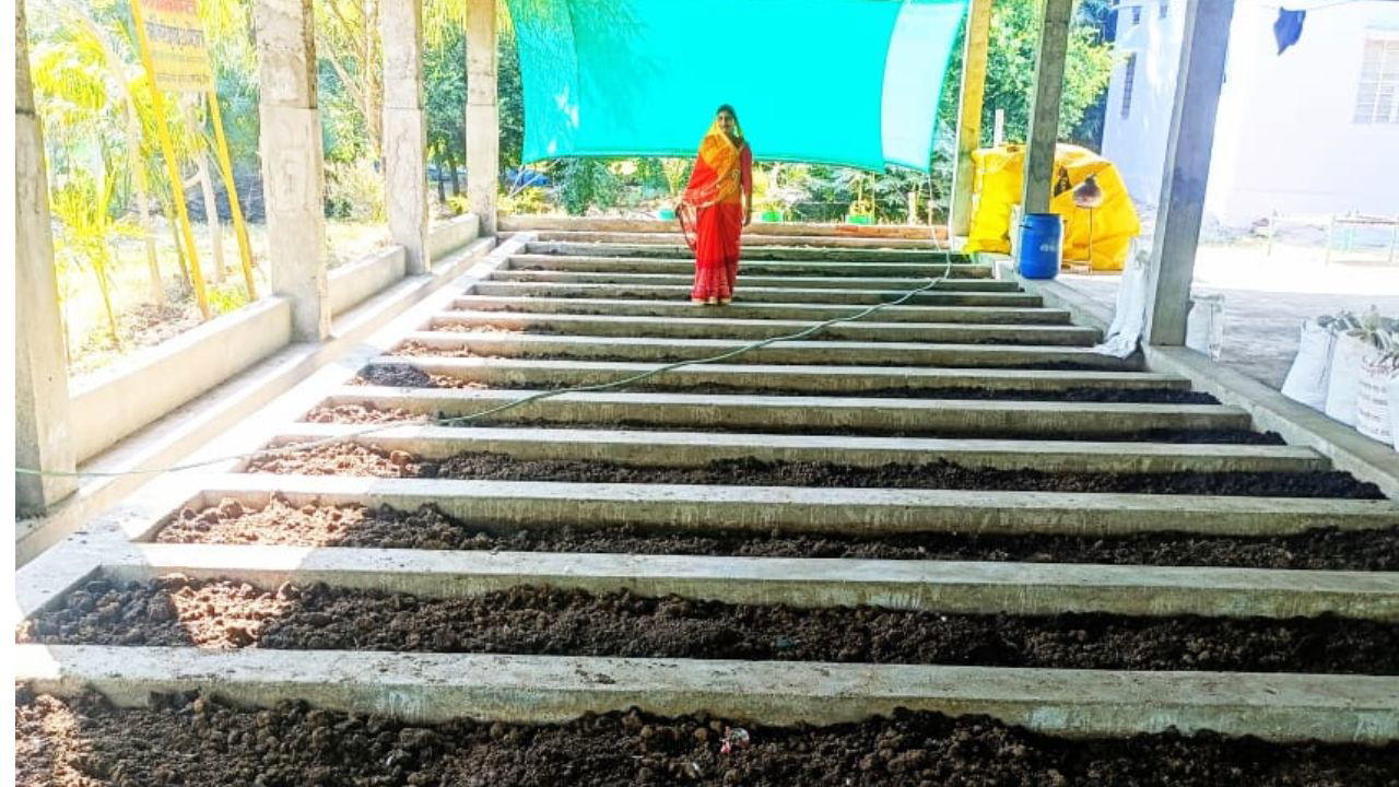 Ruby adopted sustainable farming practices on her land, planting around 10,000 trees to increase greenery and ecological balance. (Pic Credit: Ruby)