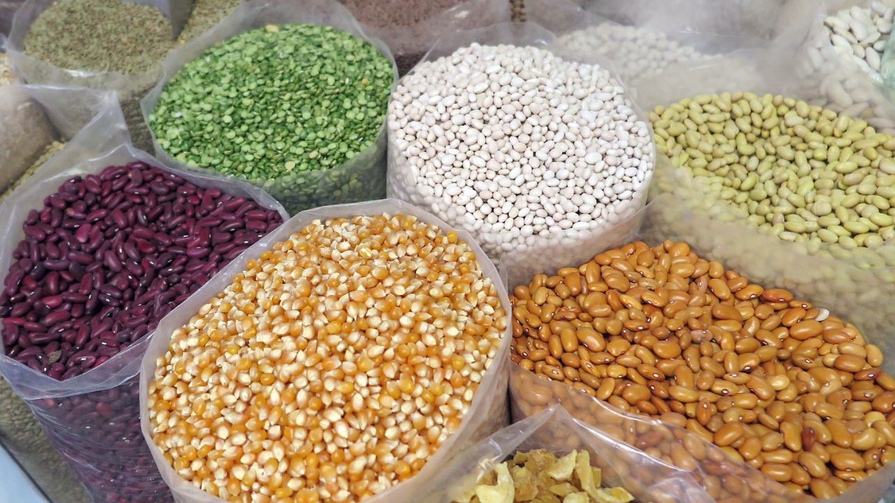 To ensure that farmers benefit from these advancements, systematic efforts have been made to produce and distribute breeder and quality seeds. (Representational Image)