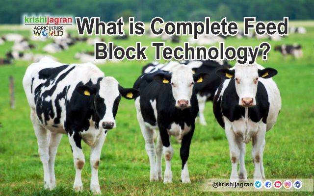 What is Complete Feed Block Technology and how is it helping dairy farmers?