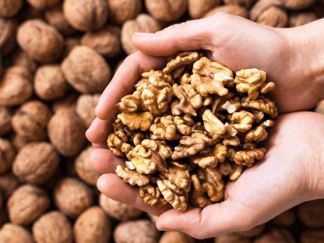 Walnuts in hand