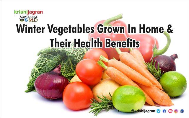 Winter Vegetables Grown In Home & Their Health Benefits