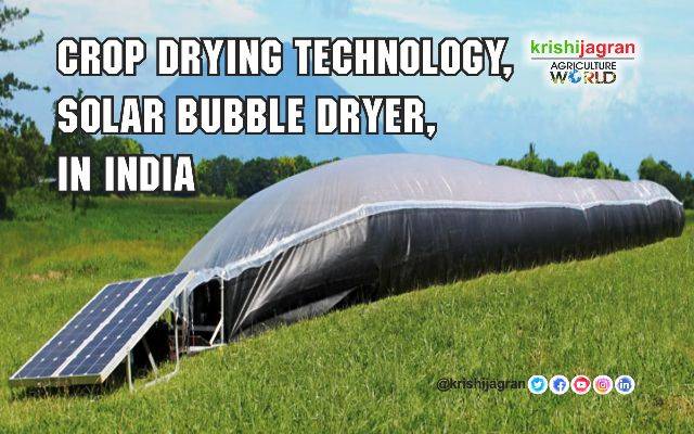 Crop Drying Technology, Solar Bubble Dryer, In India