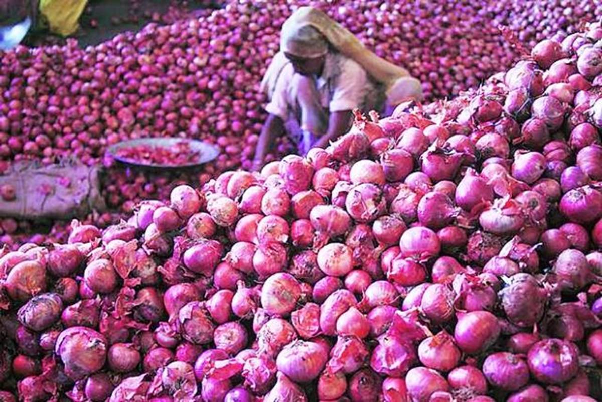 Maharashtra Slowly Losing its Control in Onion Market