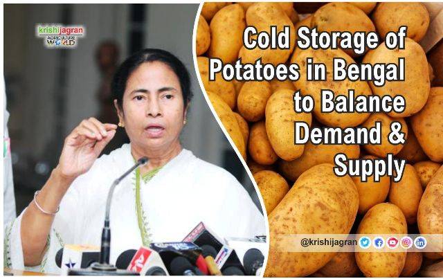 cold-storage-of-potatoes-in-bengal-to-balance-demand-supply