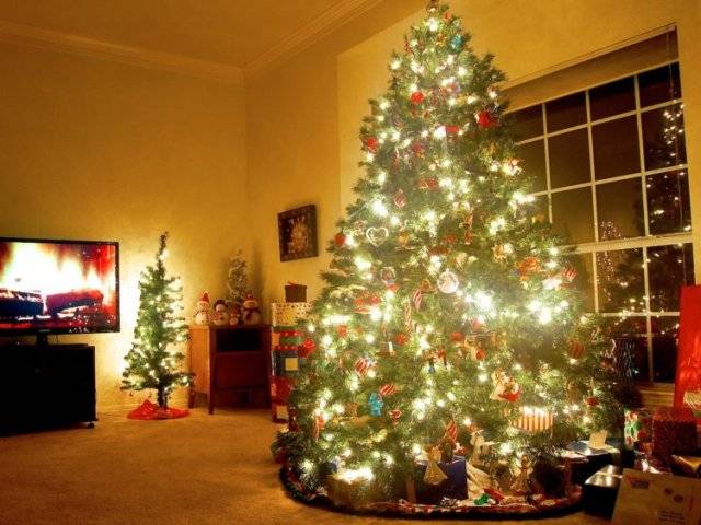 A Christmas Tree in the Home