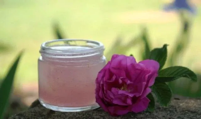 Rose Aloe Vera A Homemade Skin Toner To Treat Acne Other Skin Problems This Winter