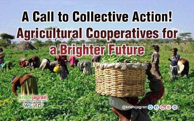 A Call To Collective Action Agricultural Cooperatives For A Brighter