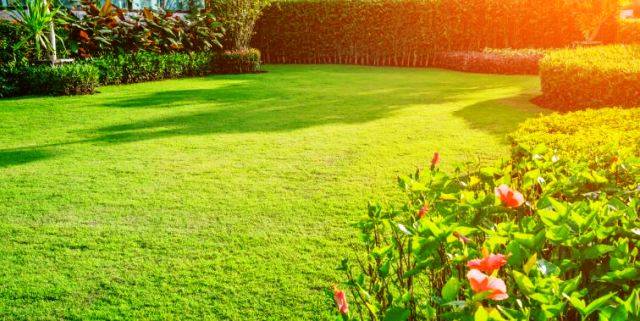 Lawn Establishment And Maintenance, Landscape Maintenance Definition